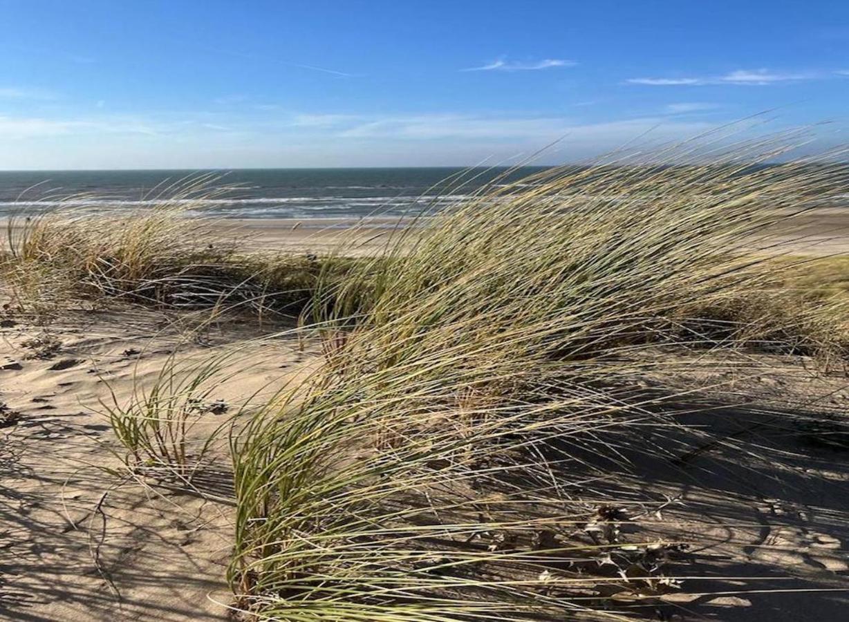 Aan Zee Op 150 Meter *